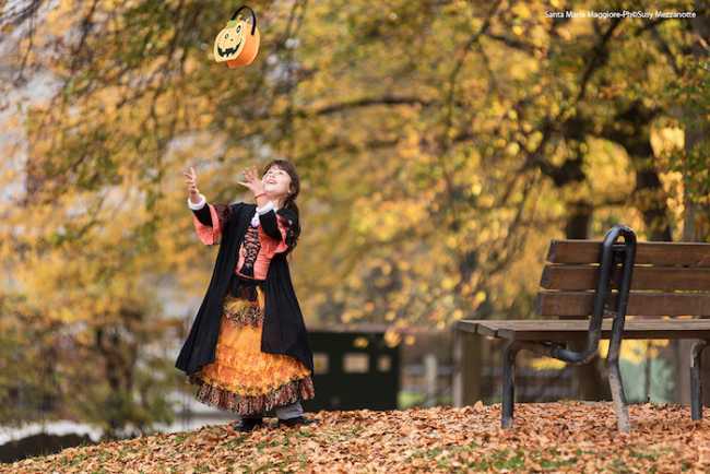 Santa Zucca 2017 1179 LR