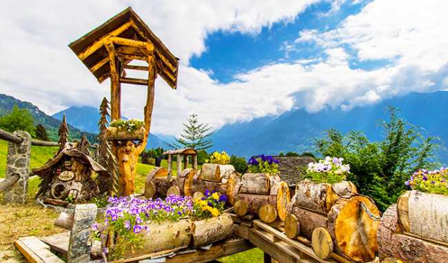 Tremula o Tremla treno legno fiori