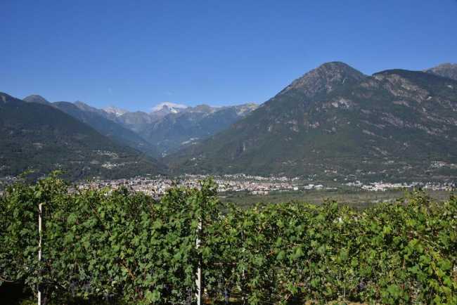 Vitigni e cantine in Val dOssola Villa Mercante 3