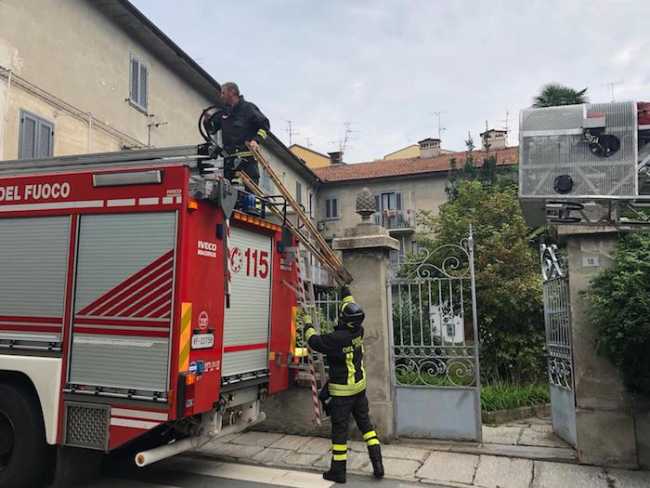 WhatsApp Image 2018 09 18 at 09.39.091