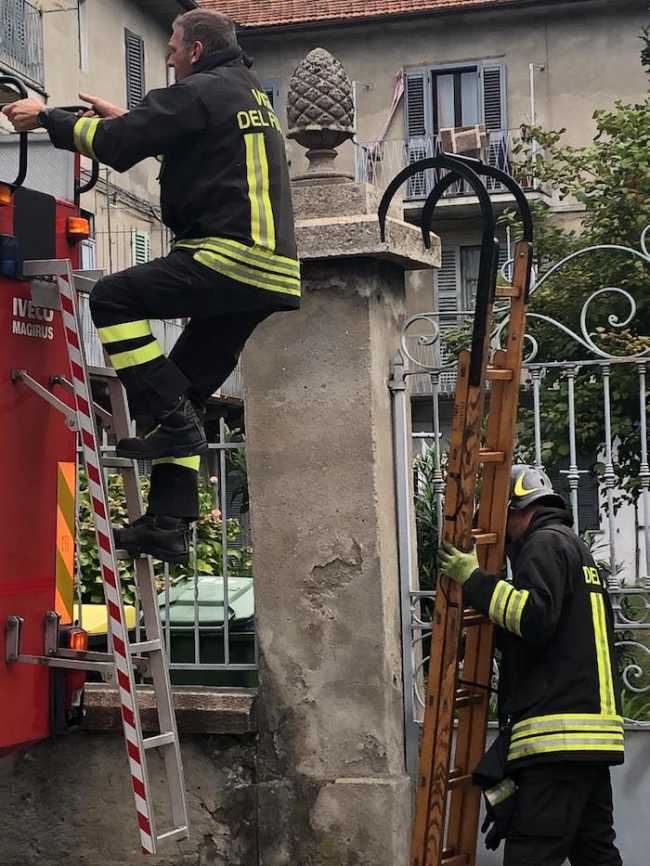 WhatsApp Image 2018 09 18 at 09.39.09