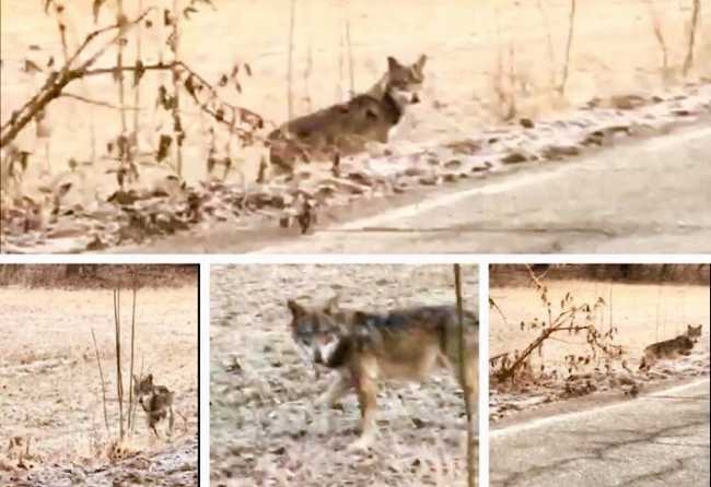 WhatsApp Image 2019 02 08 at 12.09.49