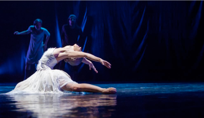 balletto cigni fabbrica