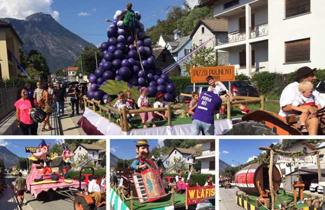 carri festa uva masera 18 mix