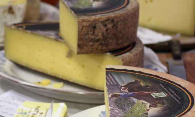 formaggi crodo fette