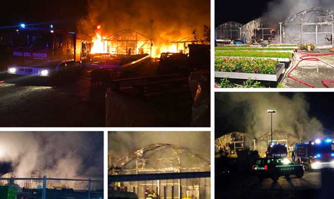 incendio prelli mix