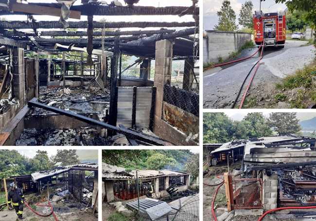 incendio stalla pallanzeno