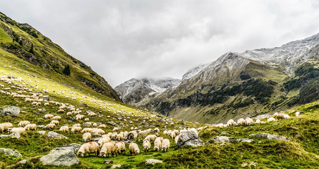 montagna nuvole pecore