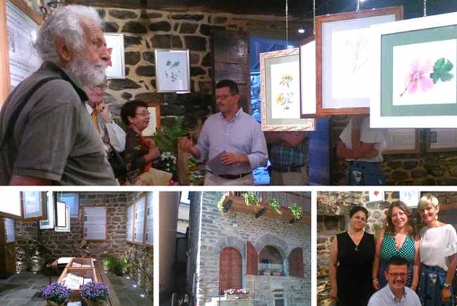 mostra erbe casa podesta 18 mix