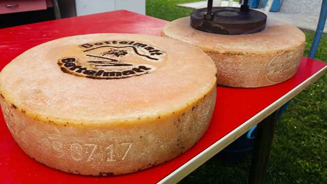 prime forma Bettelmatt marchiatura 2017