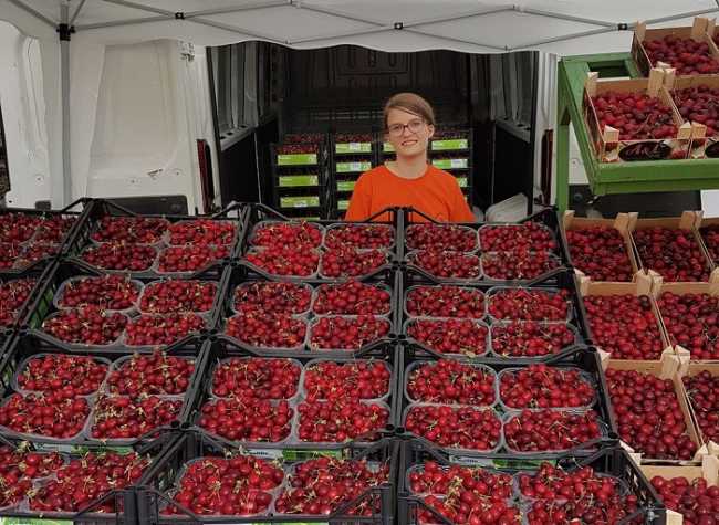 sagra ciliegie Anzola