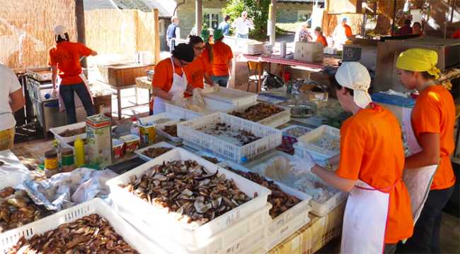 sagra fungo trontano preparazione funghi