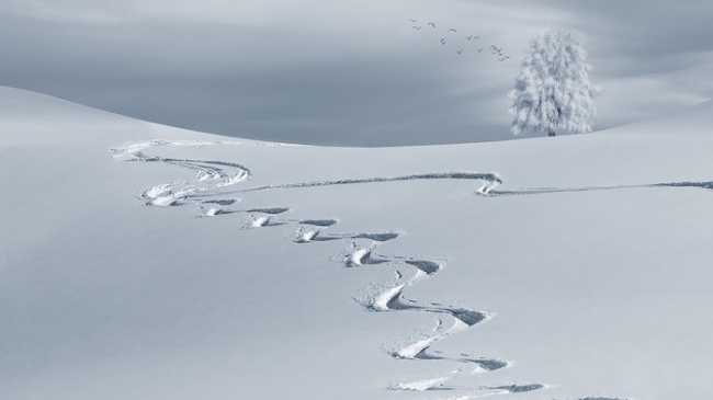 wintry 2068298 960 720