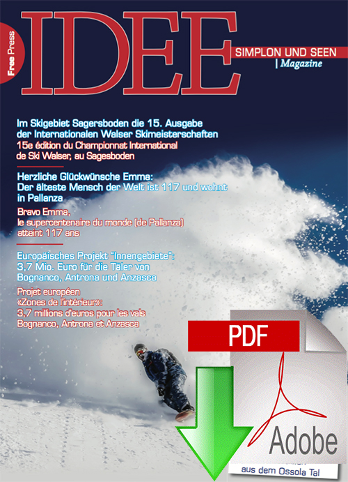 lesen idee simplon und seen januar 2017