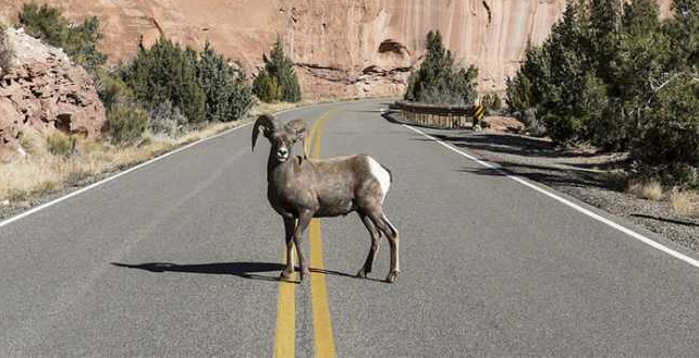 Schermata 2018 11 15 alle 14.45.44