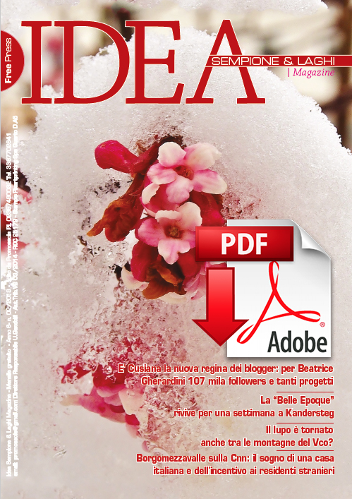 pdf idea febbraio 2019