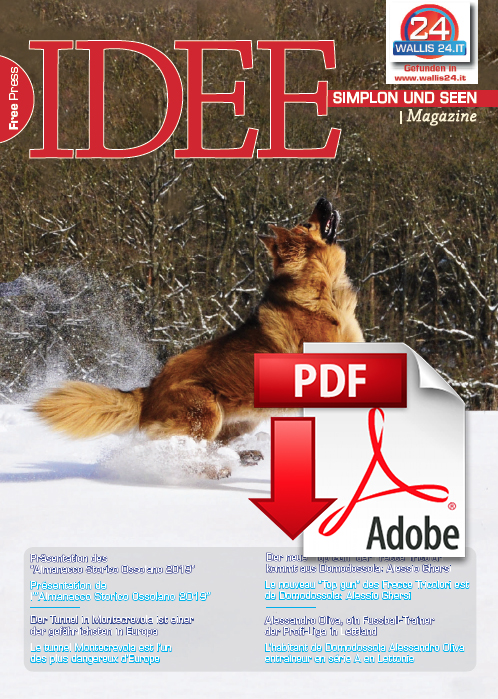 pdf idee febbraio 2019
