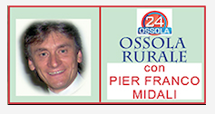 Schermata 2019 01 21 alle 17.41.22