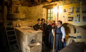 0008 F R Bianchetti RBA5300