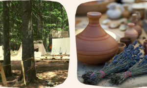 0a0b8165 3141 bce9 d0b7 b0ddebe1869a