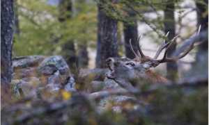 0be3f42ef6b7f705e974b736ddaa16bca8e47224fa36336c170f1810ed66e6a5