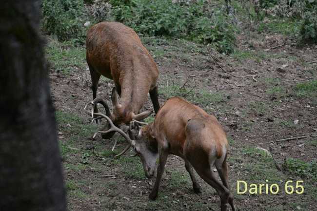 12112072 761286837308793 7416330483212368115 n