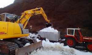 123389863 3411239548960911 9041233284579133494 o