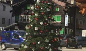 124802254 1248239608892335 8305842420407210085 n