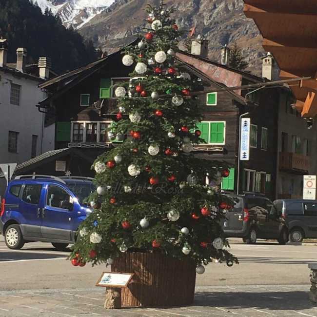 124802254 1248239608892335 8305842420407210085 n