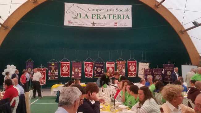 13723857 868979293235462 6009705764446248447 o