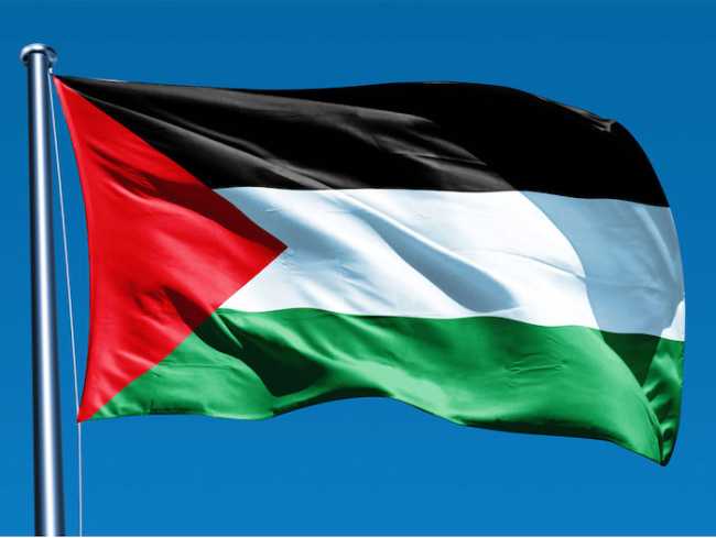 1519143452884 palestinian flag