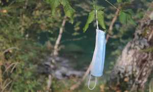 175331220 3041938002707300 2319492189389124974 n