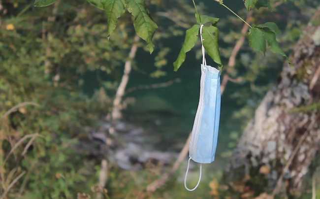 175331220 3041938002707300 2319492189389124974 n