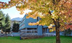 175495332 140579464740869 7515624658758072035 n