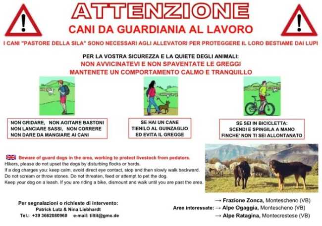 199196474 4222807331109269 7682914267636129646 n