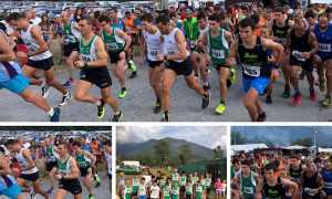 205B39D2 A488 43D8 B8C5 8EA32ED0182B