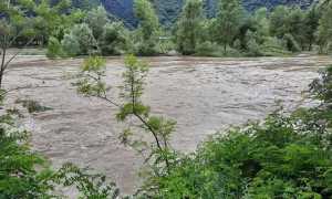 214213195 10216407656898675 3971058936831012216 n