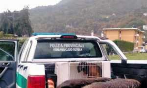 234540700 be83b325 7264 4dc2 bb8c 03d07ceb54a6