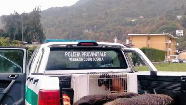 234540700 be83b325 7264 4dc2 bb8c 03d07ceb54a6