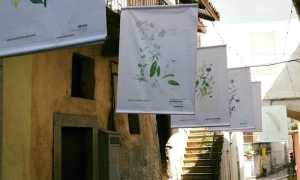 236507384 2923566517890052 2462180631822147858 n