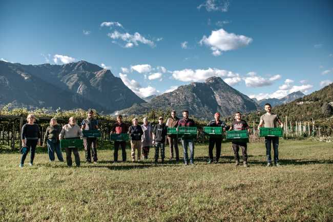 252165494 4807564732588085 8026066522047975943 n