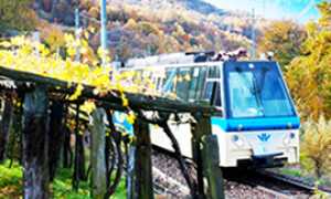 270.verticale Vigezzina autunno 2010 2 low1