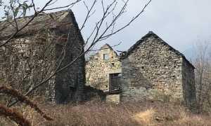 275468237 1151441372288463 4106056953076031899 n