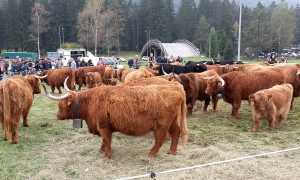 28166675 494925824236493 4199489962066817296 n