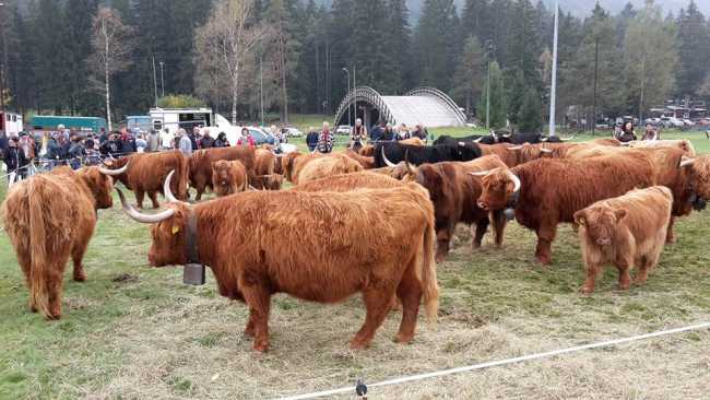 28166675 494925824236493 4199489962066817296 n