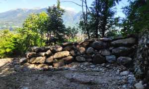 290271205 402280565272002 4599037311806691947 n