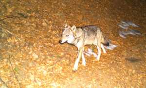 295210008 3259612797618589 1269989672460884240 n