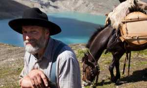 295627008 5794862120563862 4450339556763983373 n