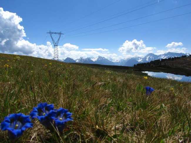 29749494 10155811208242284 2253912997505429375 o