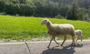 298889461 10227610699163320 5189090277933456527 n